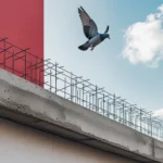 Phoenix_10_A_pigeon_flying_above_a_building_ledge_fitted_with_0